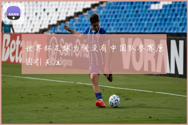 世界杯足球为何没有中国队参赛原因引关注