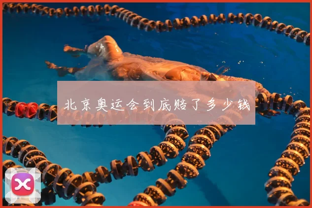 北京奥运会到底赔了多少钱