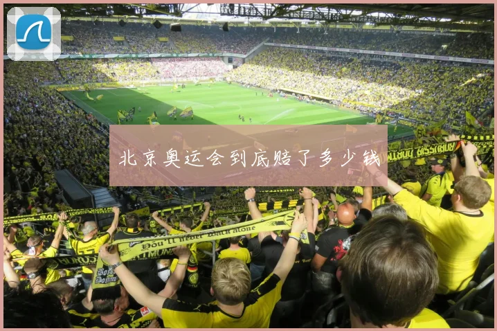 北京奥运会到底赔了多少钱
